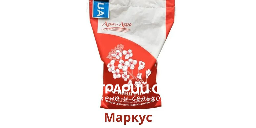 Добавить заголовок (33) (1)