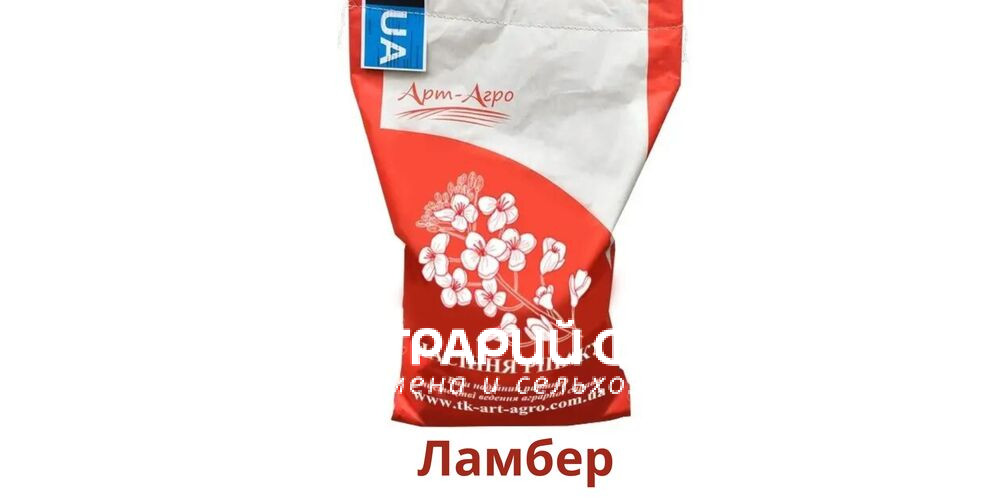 Добавить заголовок (34) (1)