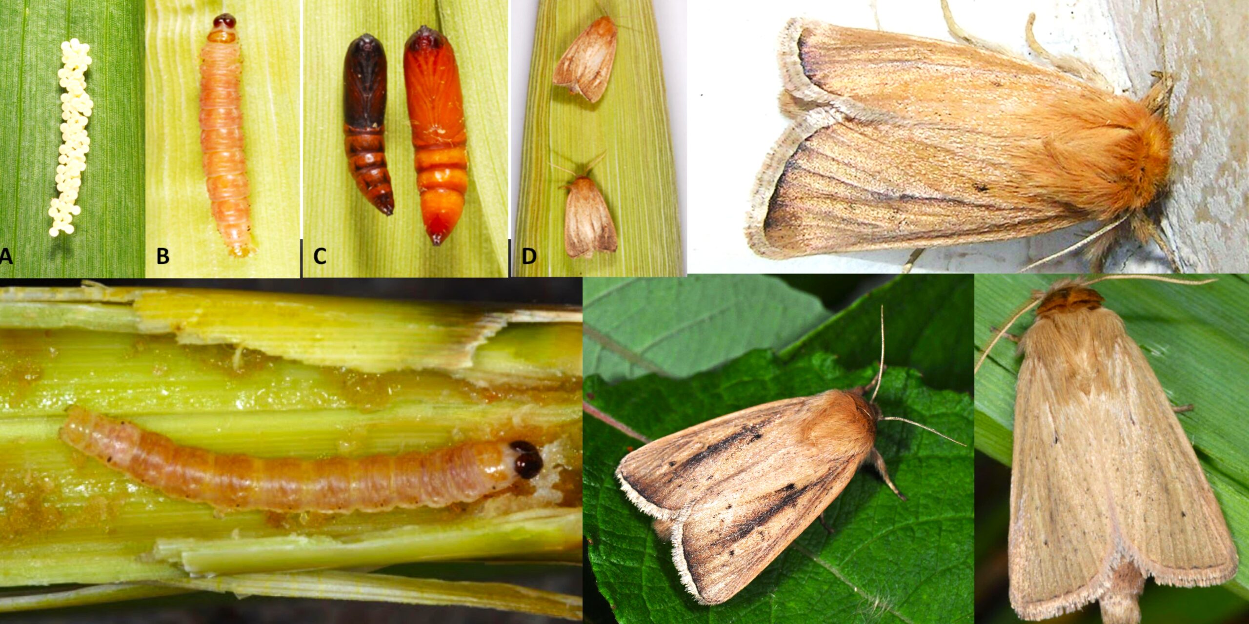 Добавить заголовок (38) min Добавить заголовок (38) min