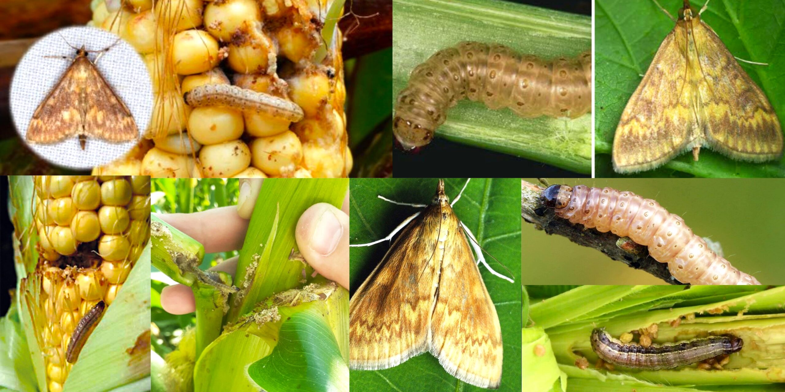 Добавить заголовок (39) min Добавить заголовок (39) min