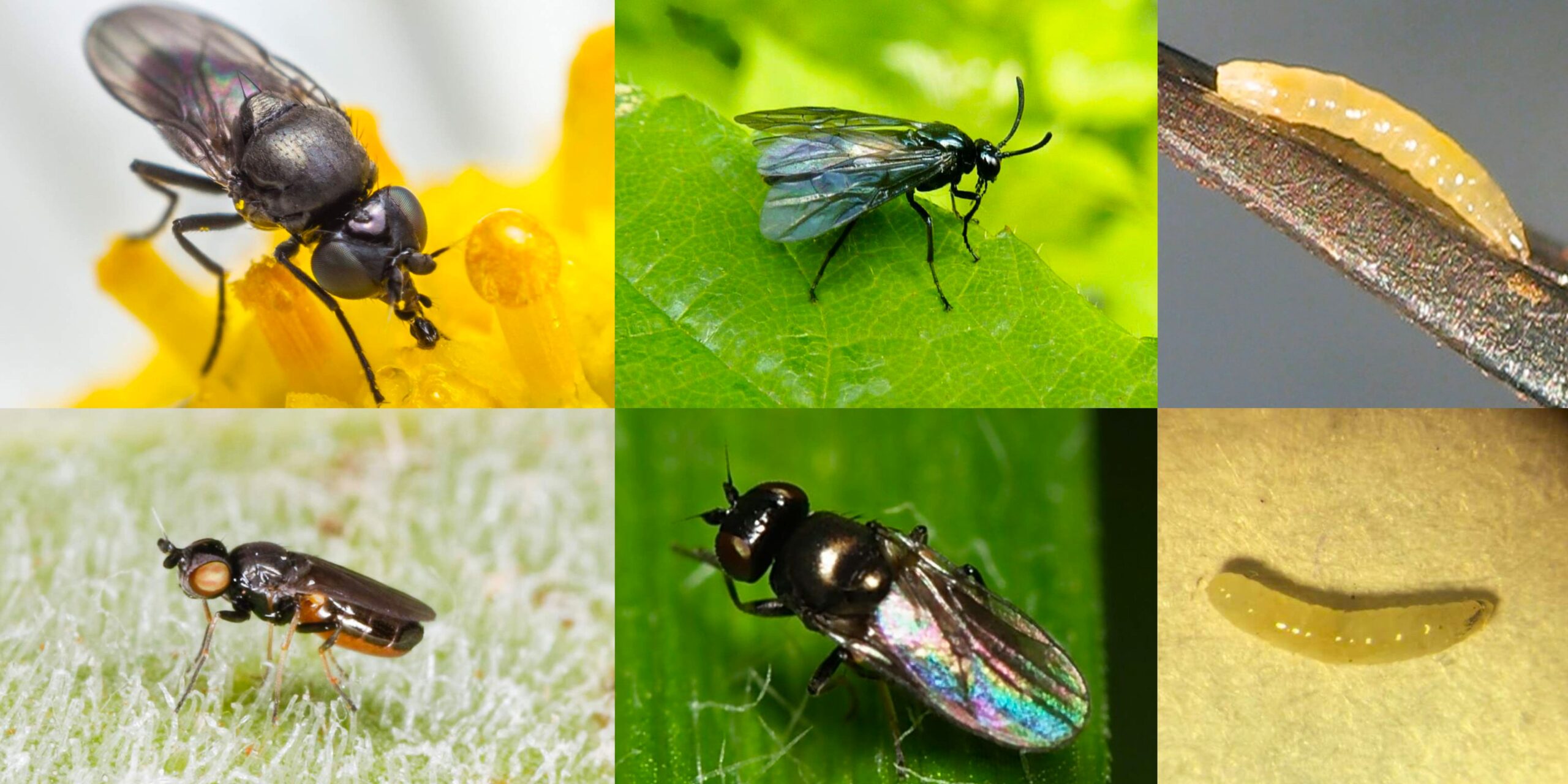 Добавить заголовок (41) min Добавить заголовок (41) min