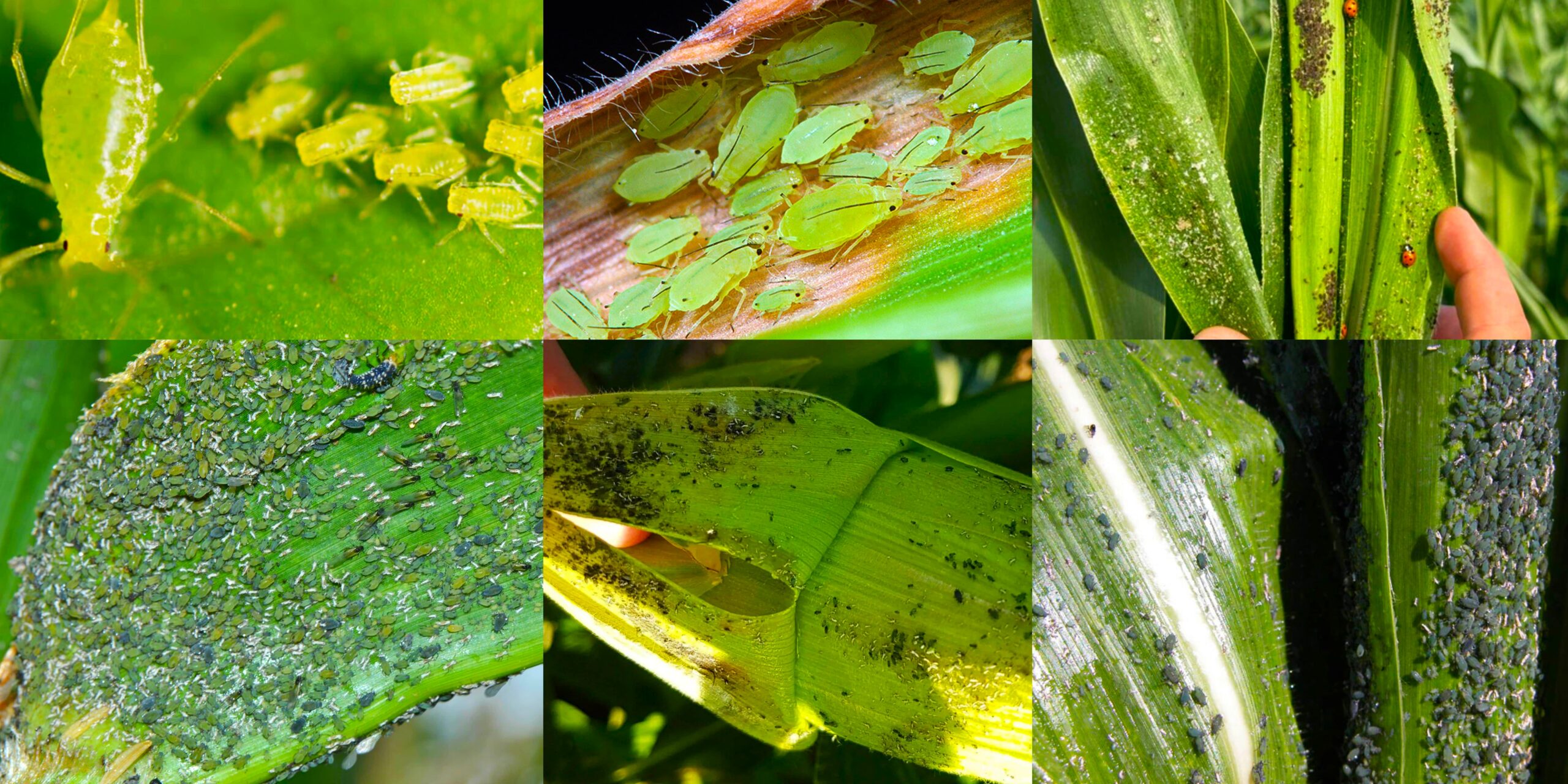 Добавить заголовок (42) min Добавить заголовок (42) min