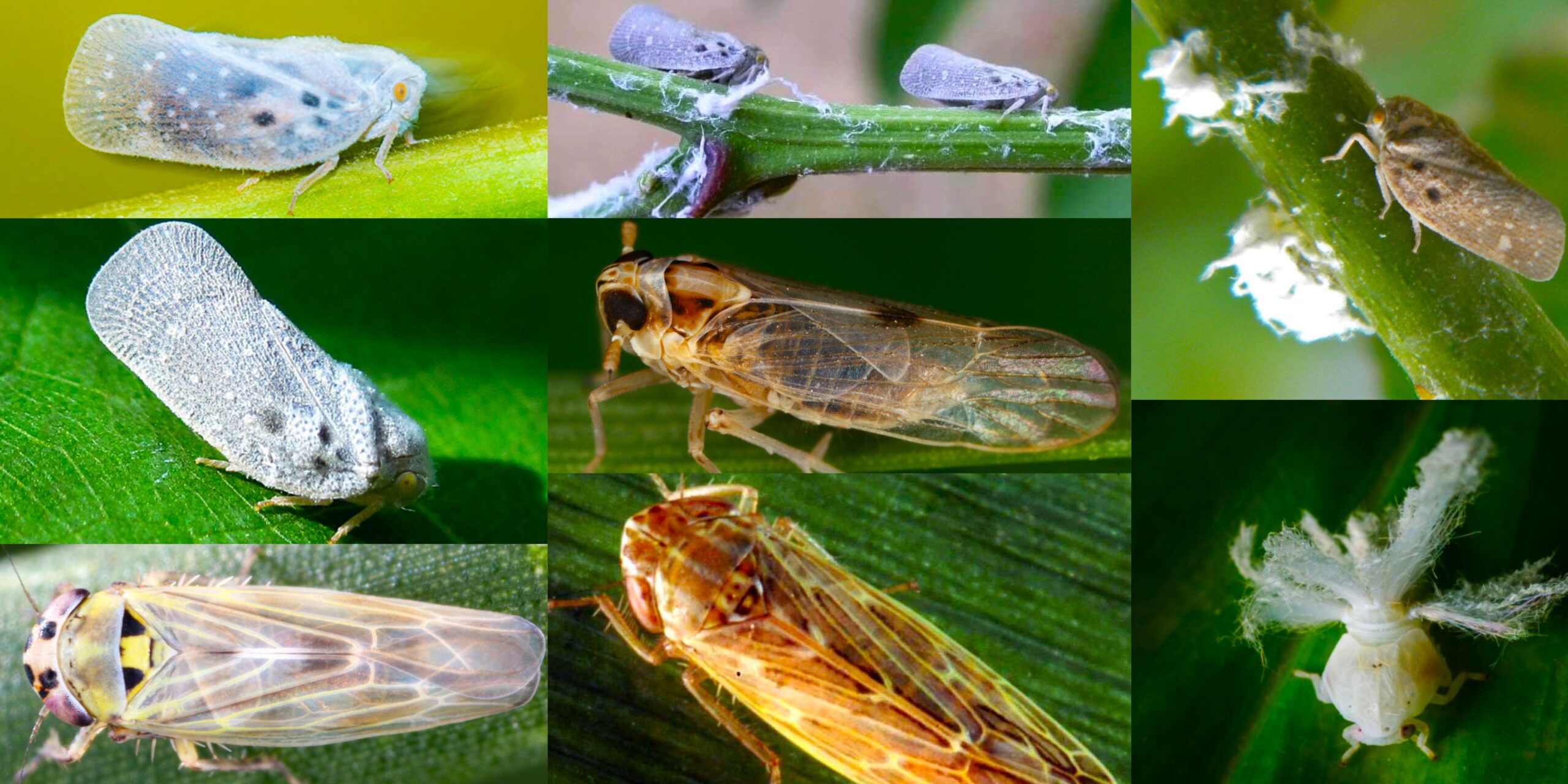 Добавить заголовок (43) min Добавить заголовок (43) min