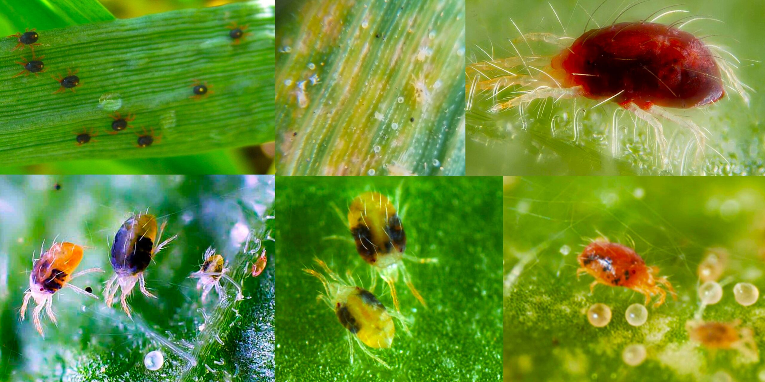 Добавить заголовок (44) min Добавить заголовок (44) min