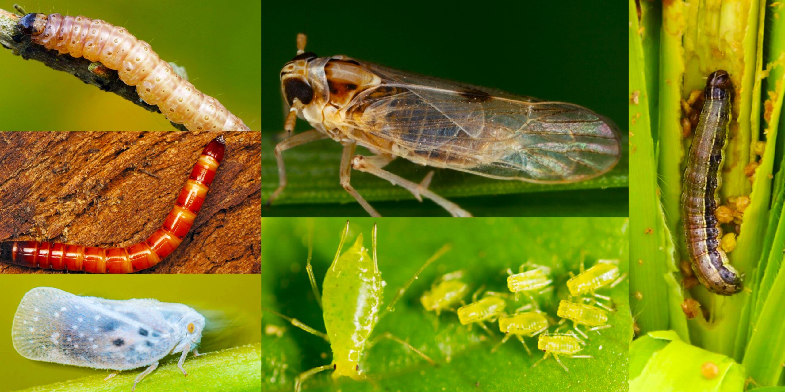 Добавить заголовок (45) min