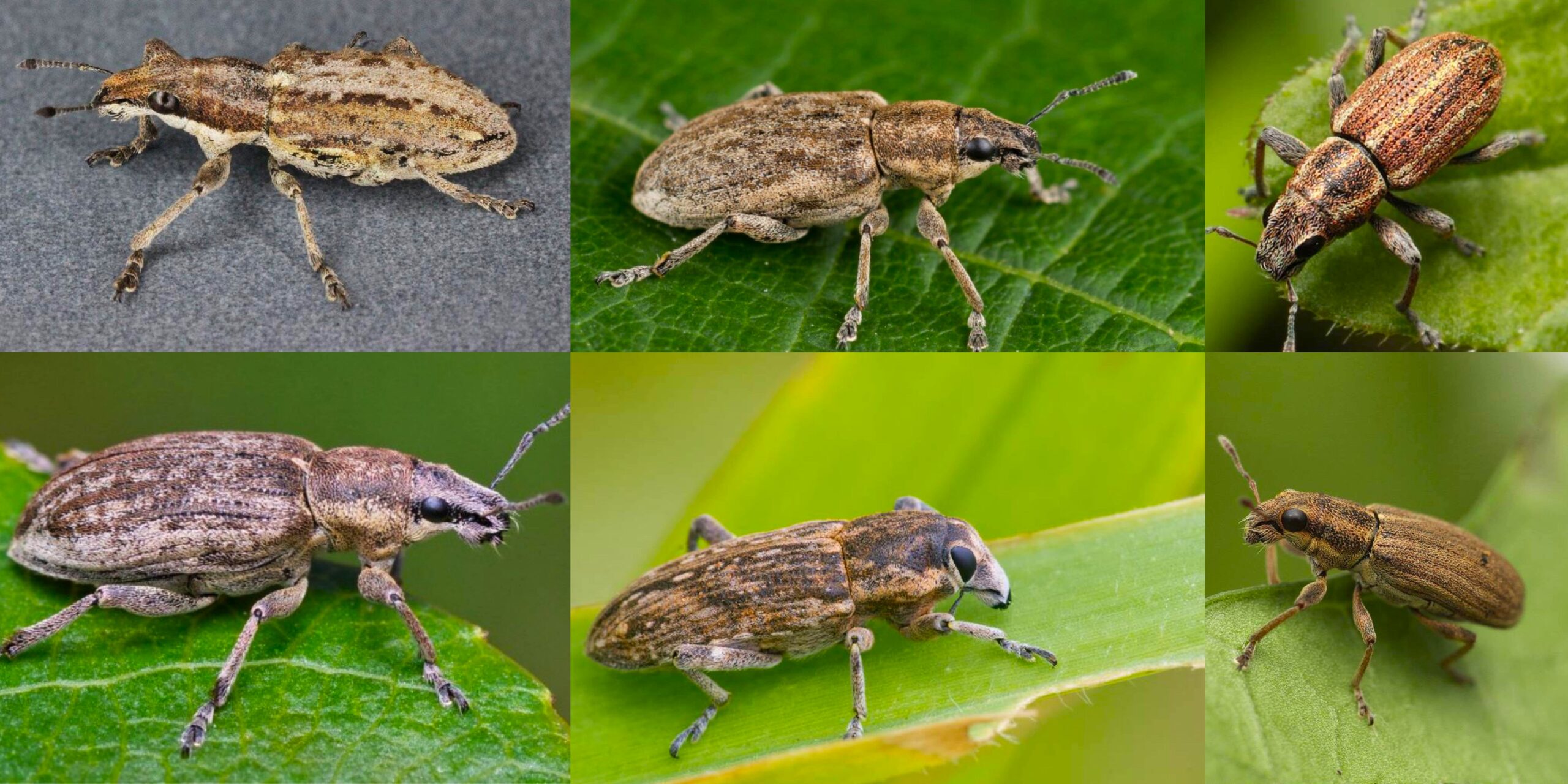 Добавить заголовок (46) min