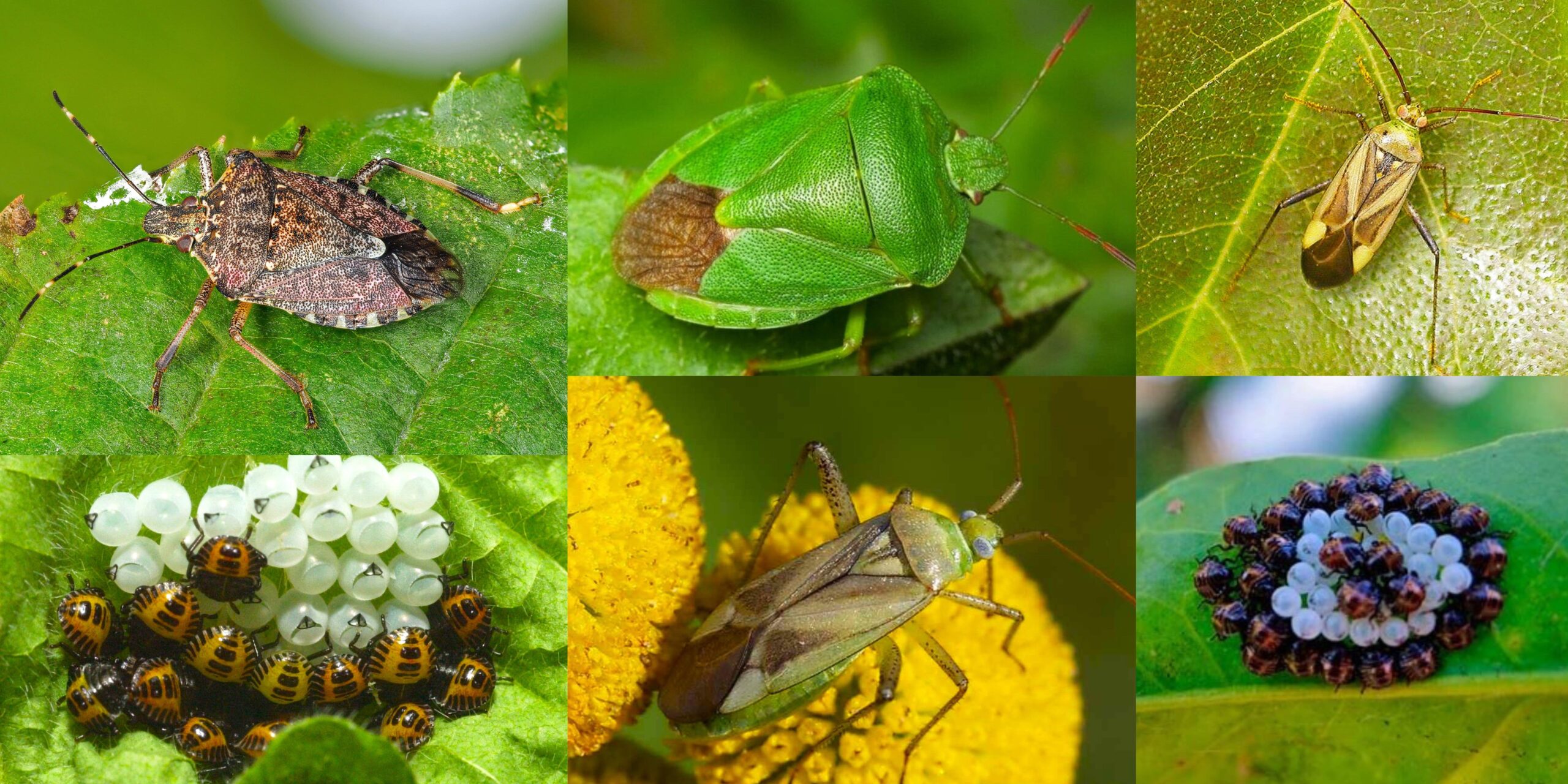 Добавить заголовок (47) min