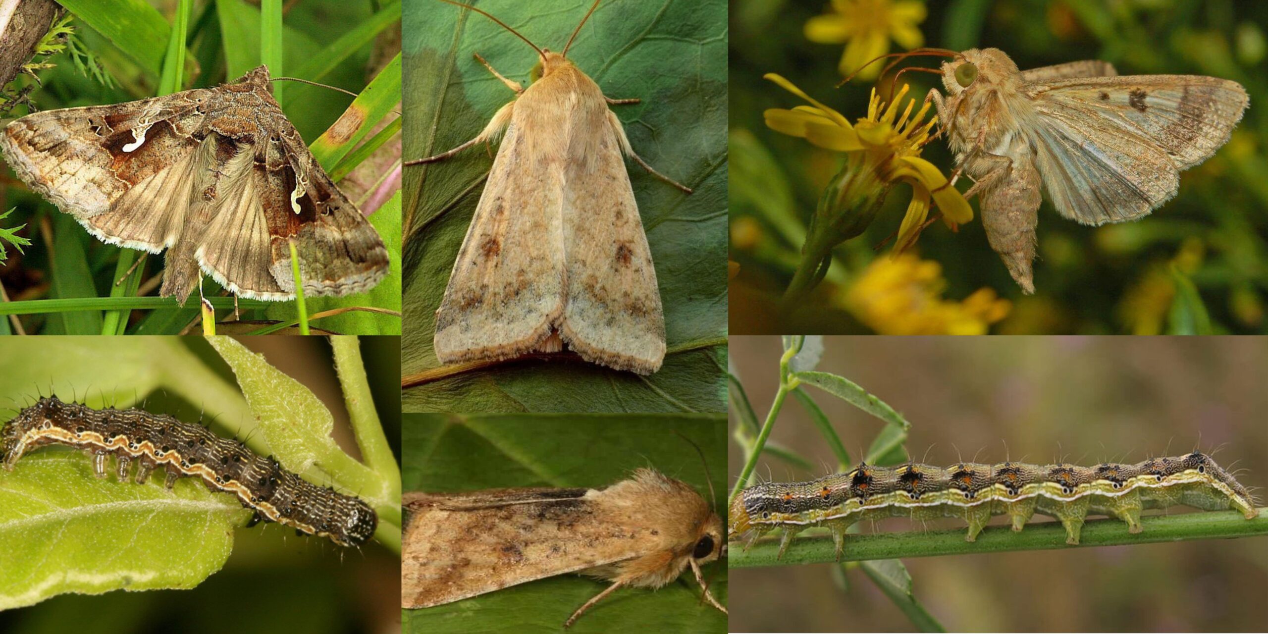 Добавить заголовок (48) min