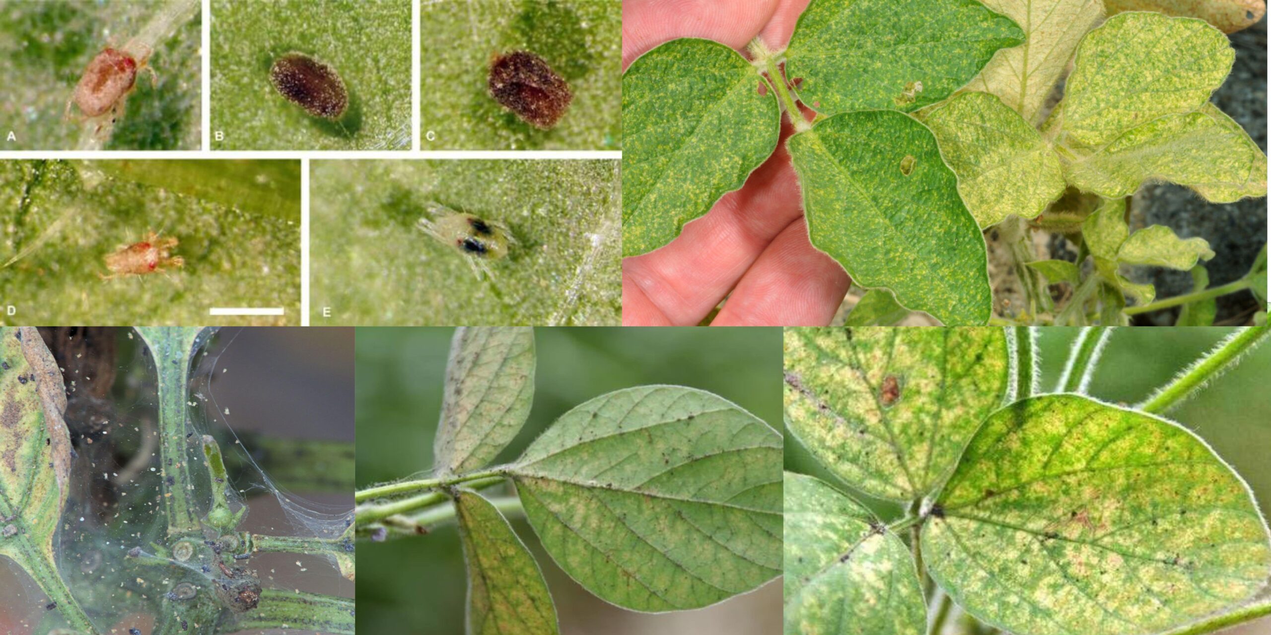 Добавить заголовок (49) min