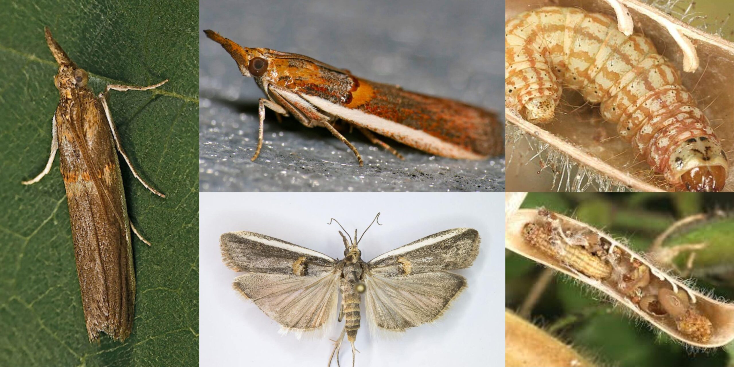 Добавить заголовок (51) min