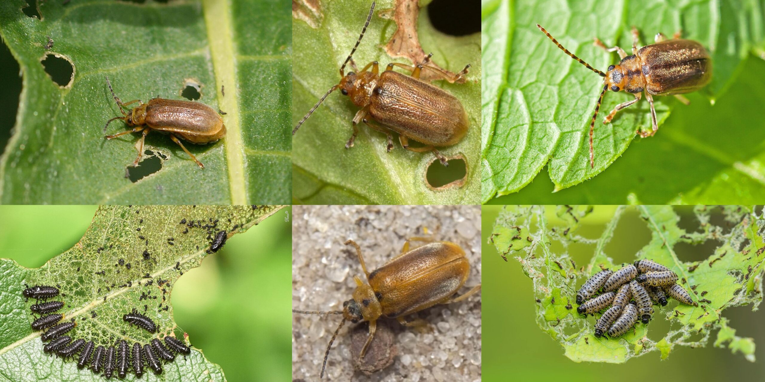 Добавить заголовок (52) min