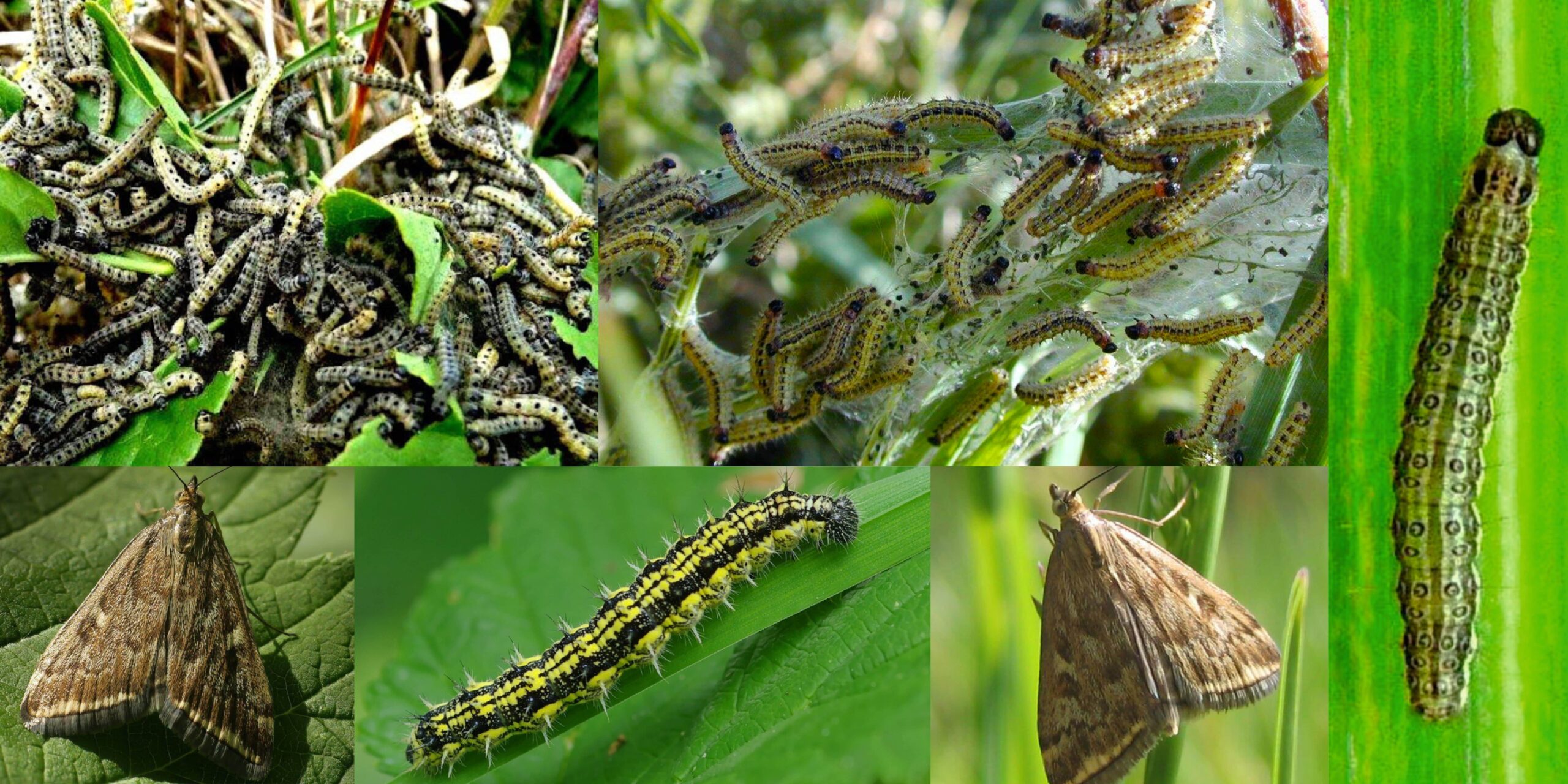 Добавить заголовок (53) min