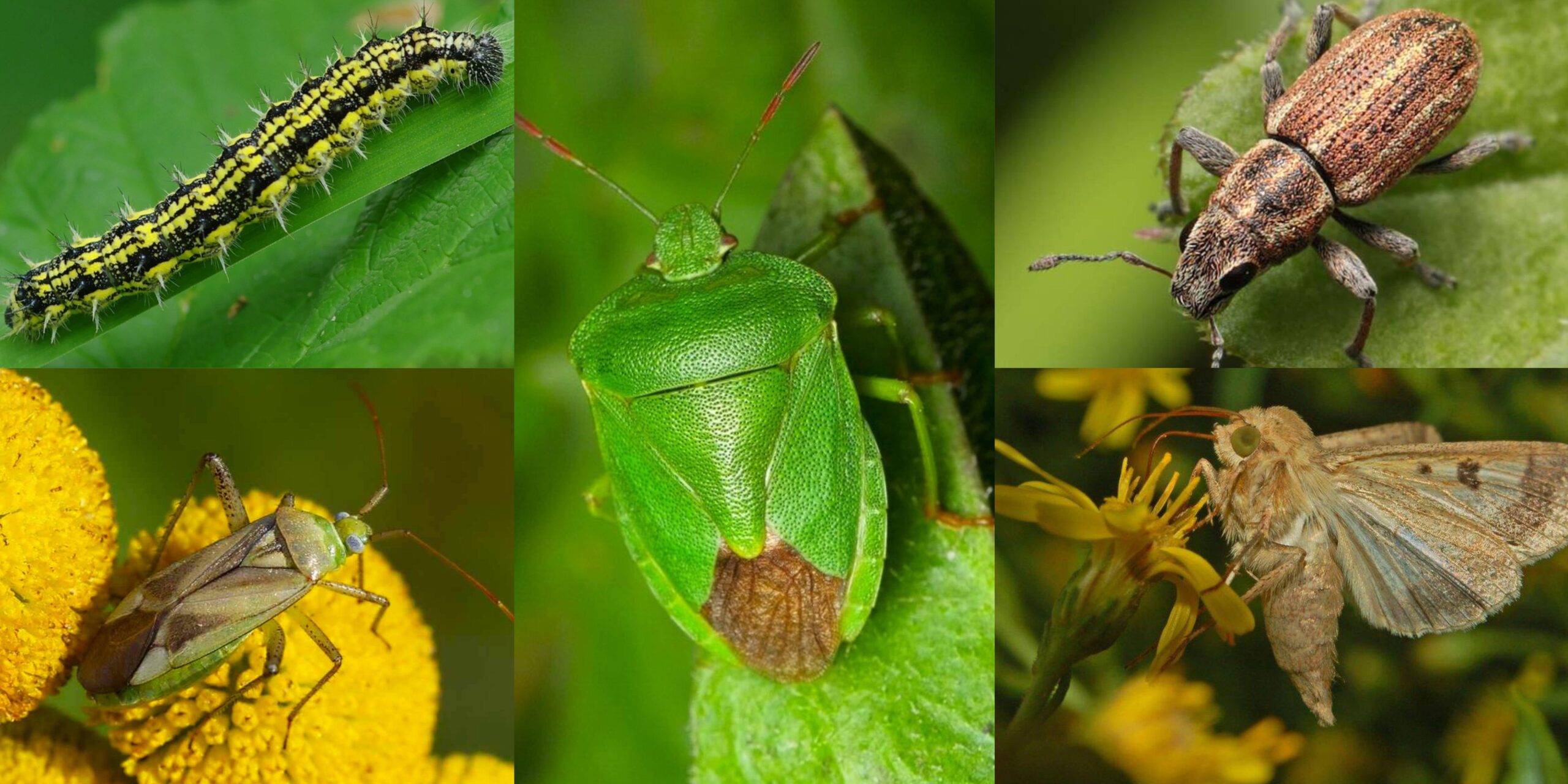 Добавить заголовок (54) min