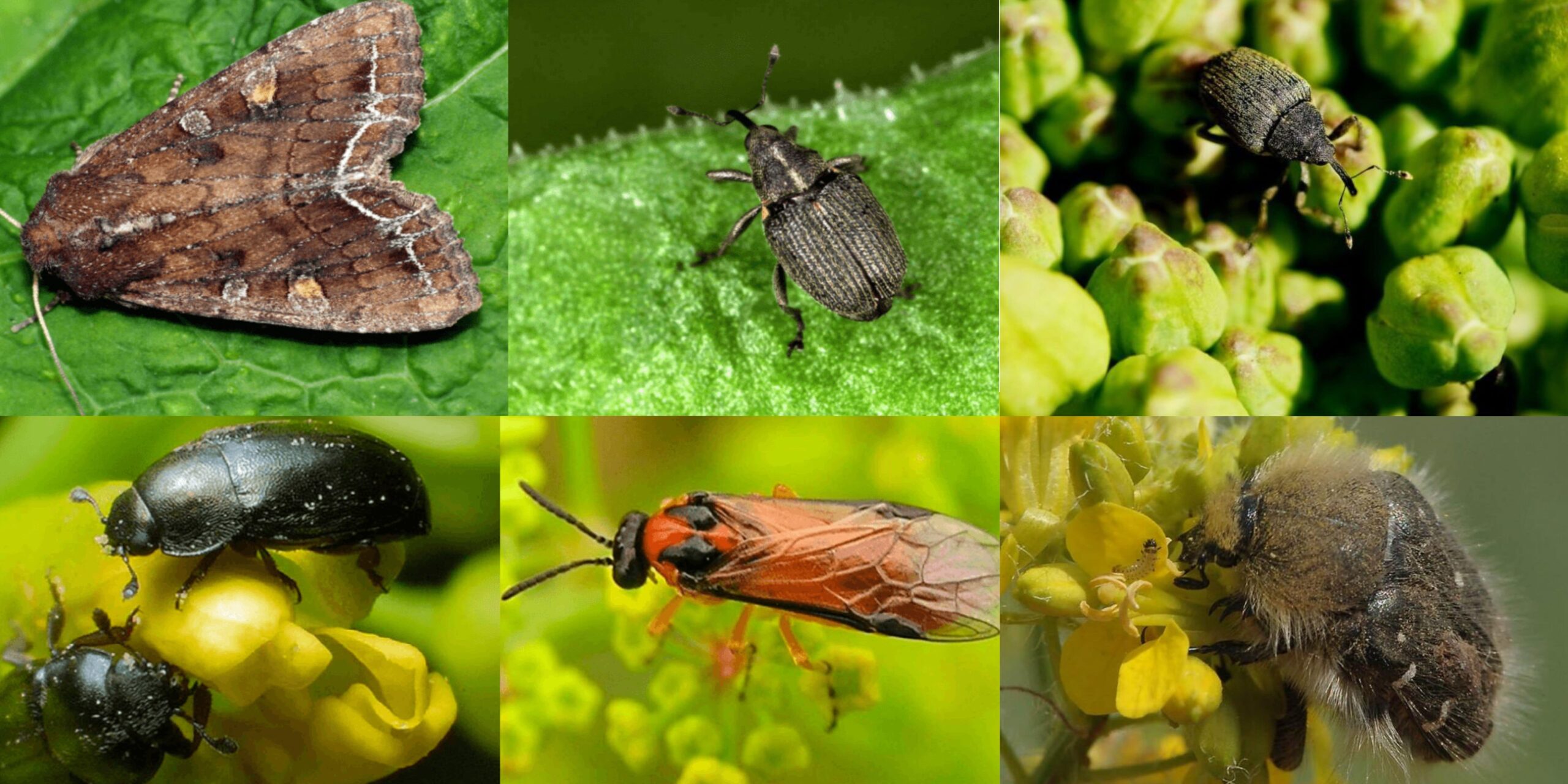 Добавить заголовок (69) min