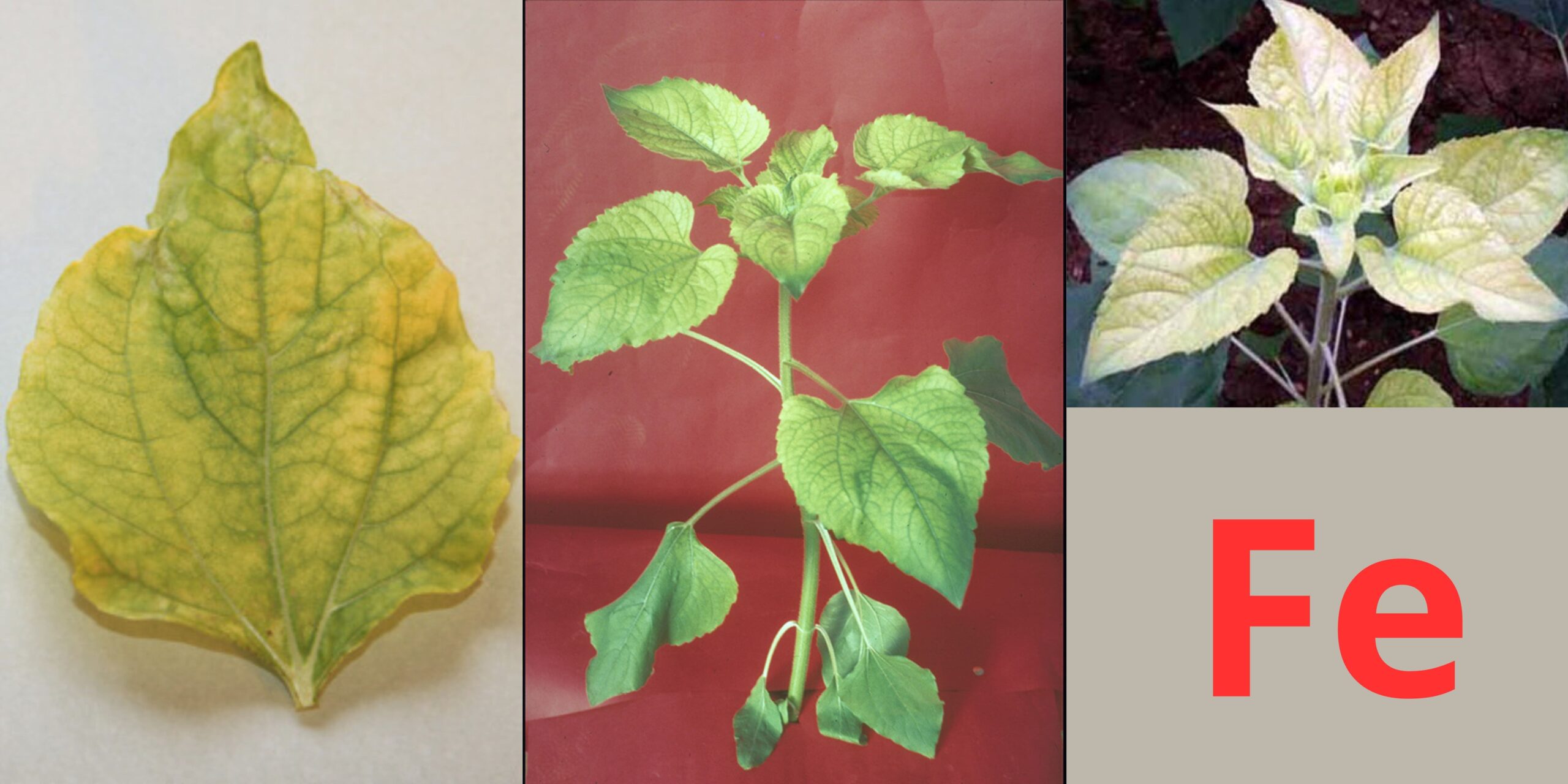 Добавить заголовок Добавить заголовок