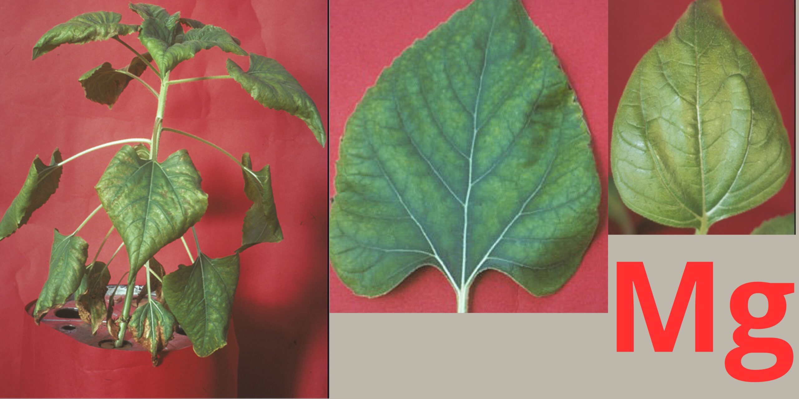 Добавить заголовок333 Добавить заголовок333