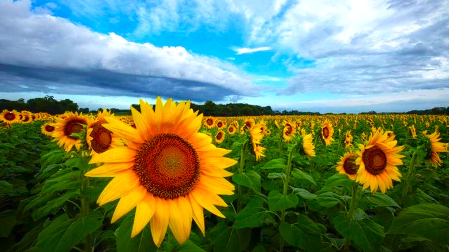 завантаження завантаження