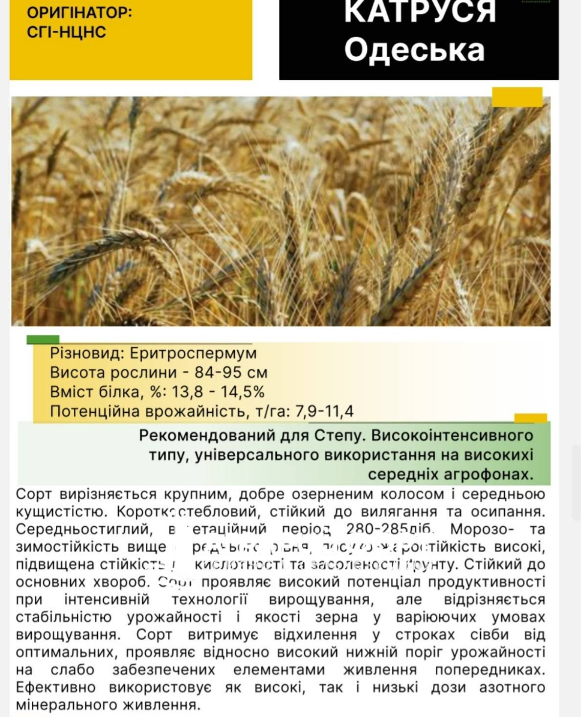 зображення_viber_2025-07-21_15-02-35-514