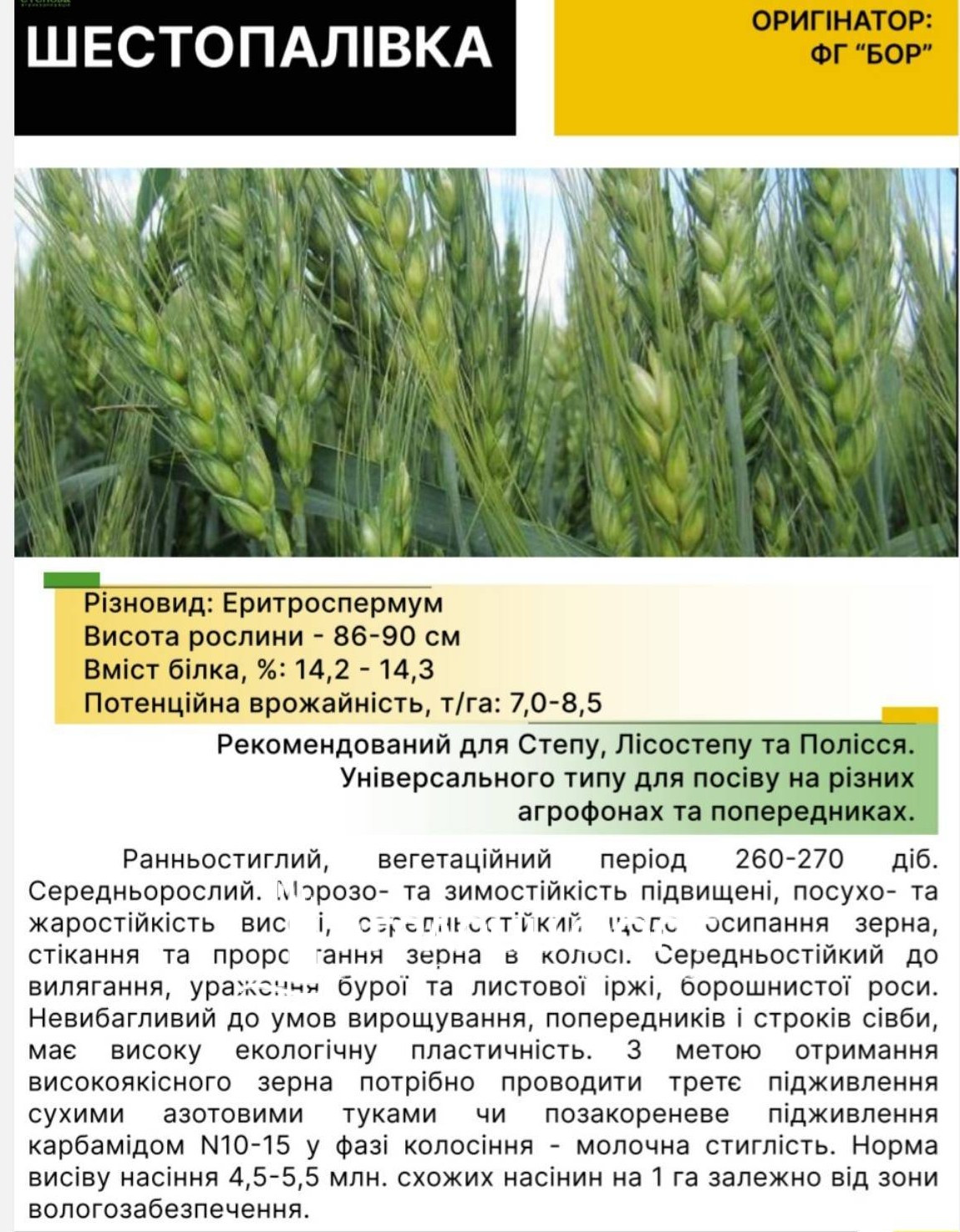 зображення_viber_2025-07-22_13-44-58-043