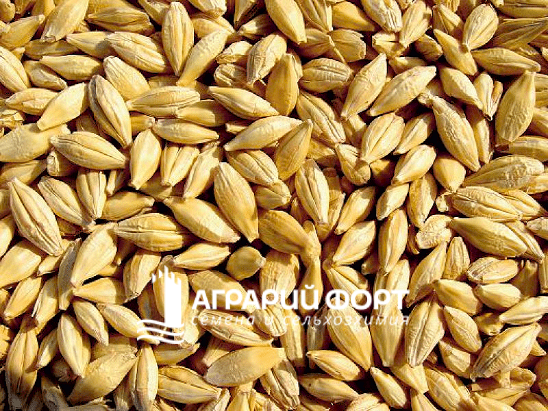 изображение_2023-01-11_194711231